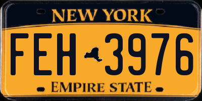 NY license plate FEH3976