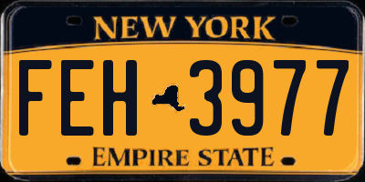 NY license plate FEH3977