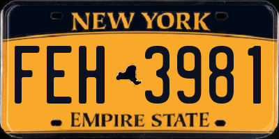 NY license plate FEH3981