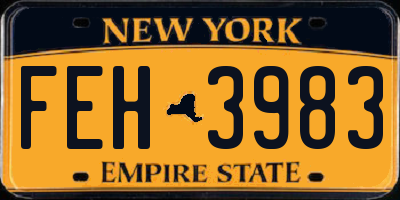 NY license plate FEH3983