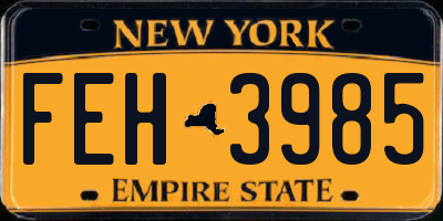 NY license plate FEH3985