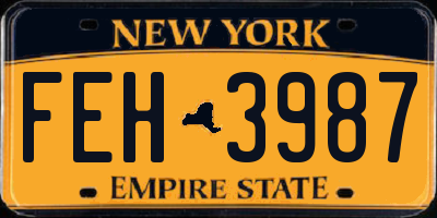 NY license plate FEH3987
