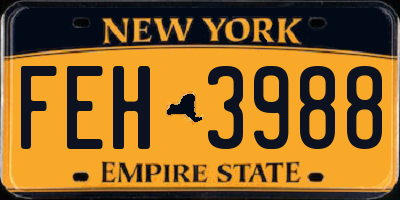NY license plate FEH3988