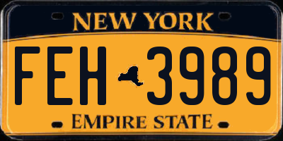 NY license plate FEH3989