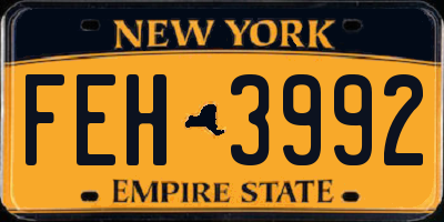 NY license plate FEH3992