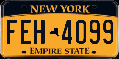 NY license plate FEH4099
