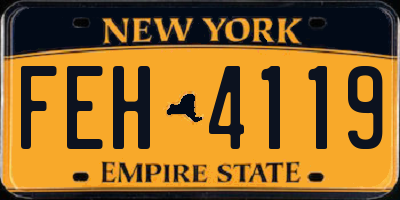 NY license plate FEH4119