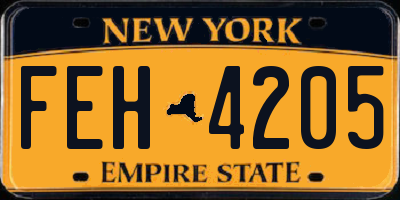 NY license plate FEH4205