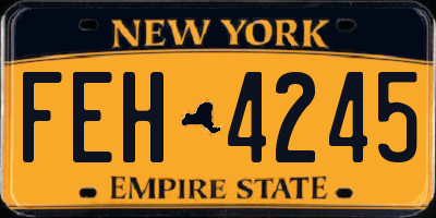NY license plate FEH4245