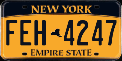 NY license plate FEH4247