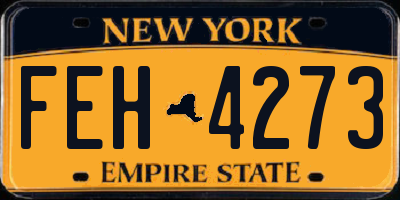 NY license plate FEH4273