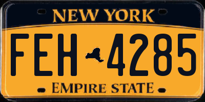 NY license plate FEH4285