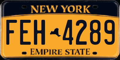 NY license plate FEH4289