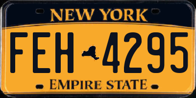 NY license plate FEH4295