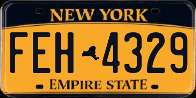 NY license plate FEH4329