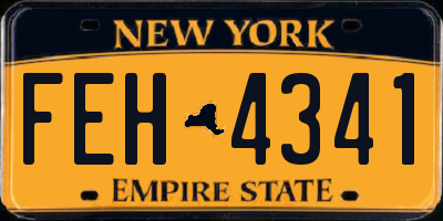 NY license plate FEH4341