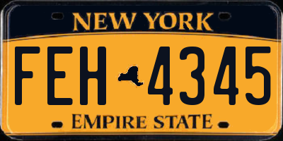 NY license plate FEH4345