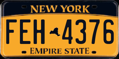 NY license plate FEH4376