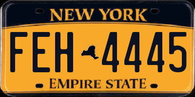 NY license plate FEH4445