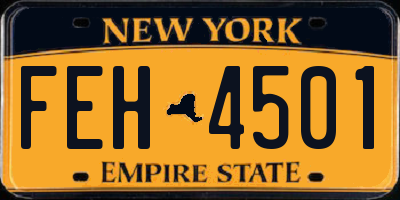 NY license plate FEH4501