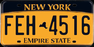 NY license plate FEH4516