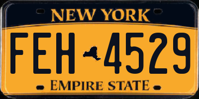 NY license plate FEH4529