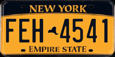 NY license plate FEH4541