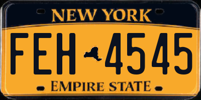 NY license plate FEH4545