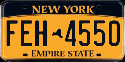 NY license plate FEH4550