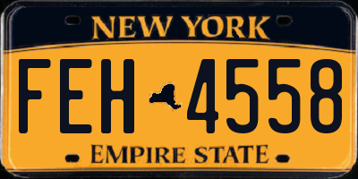 NY license plate FEH4558