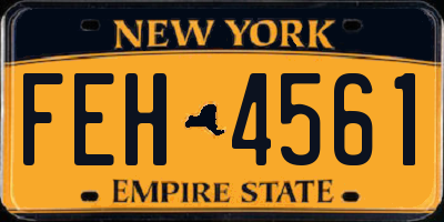 NY license plate FEH4561