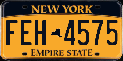 NY license plate FEH4575