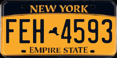NY license plate FEH4593