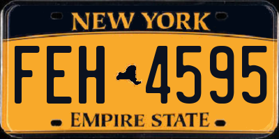 NY license plate FEH4595