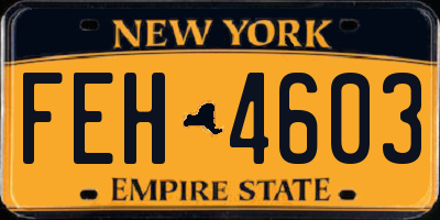 NY license plate FEH4603