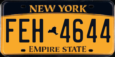 NY license plate FEH4644