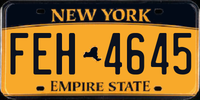 NY license plate FEH4645