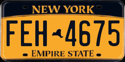 NY license plate FEH4675
