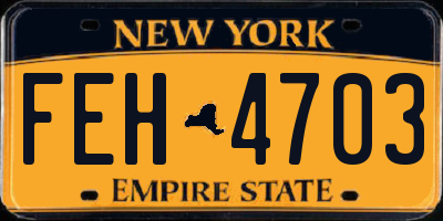 NY license plate FEH4703