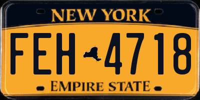 NY license plate FEH4718