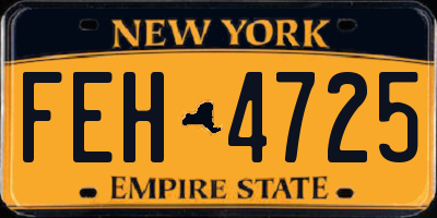NY license plate FEH4725