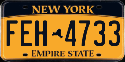 NY license plate FEH4733