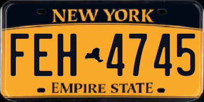 NY license plate FEH4745