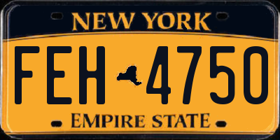 NY license plate FEH4750