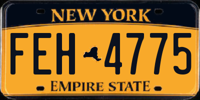 NY license plate FEH4775