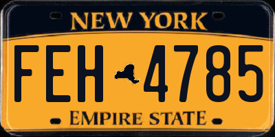 NY license plate FEH4785