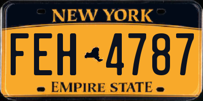 NY license plate FEH4787