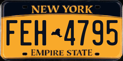 NY license plate FEH4795