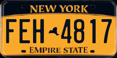 NY license plate FEH4817