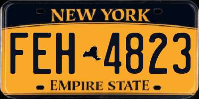 NY license plate FEH4823
